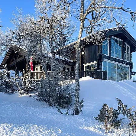 Beautiful In With Sauna Casa de Férias Rauland